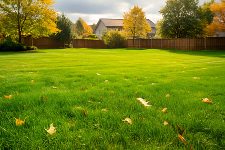 Essential Fall Lawn Care Tips for Wesley Chapel Yards