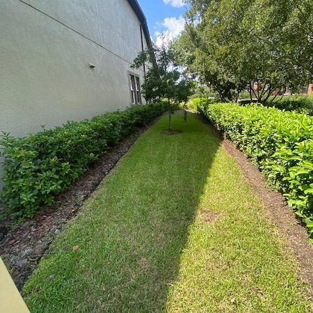 Lawn Fertilization for Florida Homes: A Simple Wesley Chapel Homeowner’s Guide