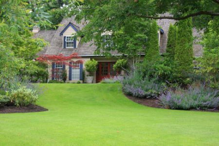 Professional Seasonal Clean-Up Keeps Your Curb Appeal High Thumbnail