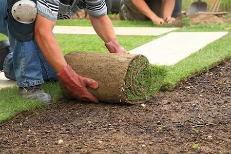 Transform Your Yard with Professional Sod Installation Thumbnail