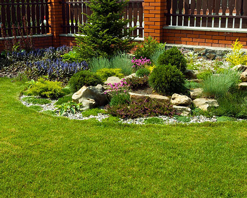 Lawncare and landscaping wesley chapel