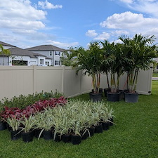 Total Landscape Install In Wesley Chapel, FL 2
