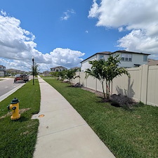 Total Landscape Install In Wesley Chapel, FL 3