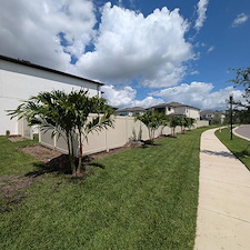 Total Landscape Install In Wesley Chapel, FL 4