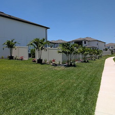 Total Landscape Install In Wesley Chapel, FL 6